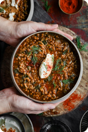 Lentil